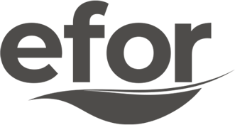 Efor