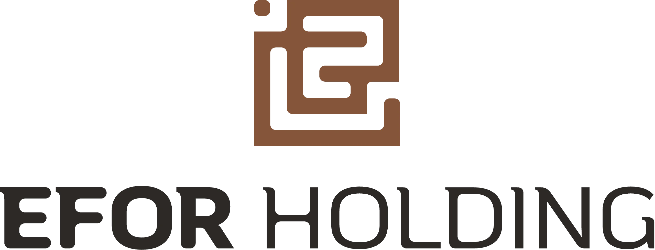 Efor Holding